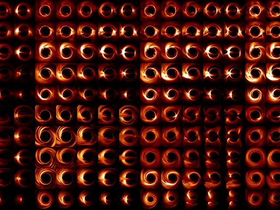 Black Holes