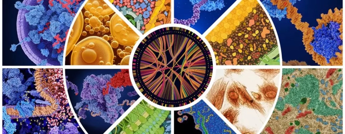 A collage of images of cells, molecules, and molecular complexes